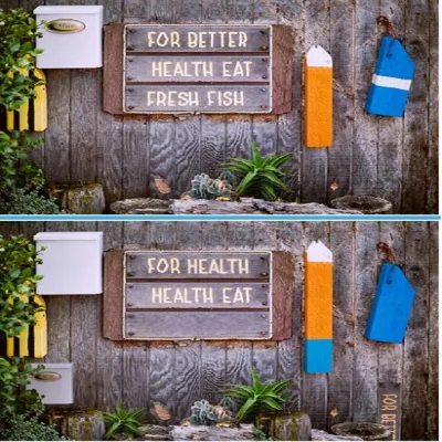 Find The Difference Fovere - free online game