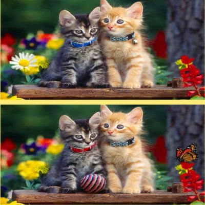 Spot Differs - free online game