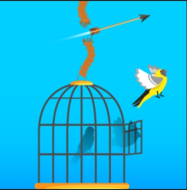 free birds - free online game